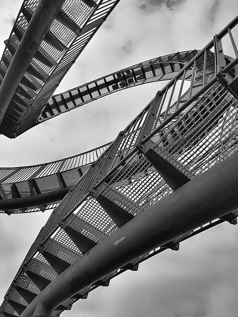 牧草地の区画と給水地点 柵と地面
