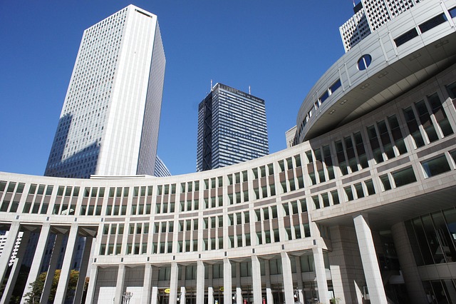 豚の採食と群れの行動 観察