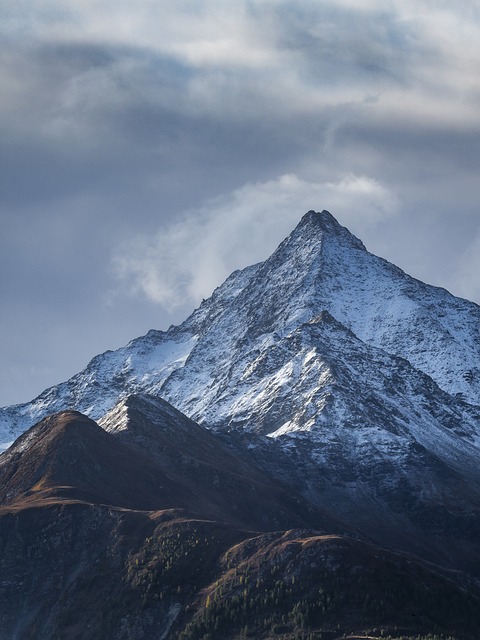 木と土の質感 規約ページ 背景 伝統的な畜産の印象
